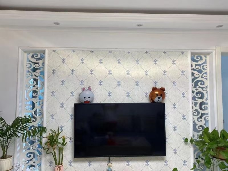 城西电梯房出售!