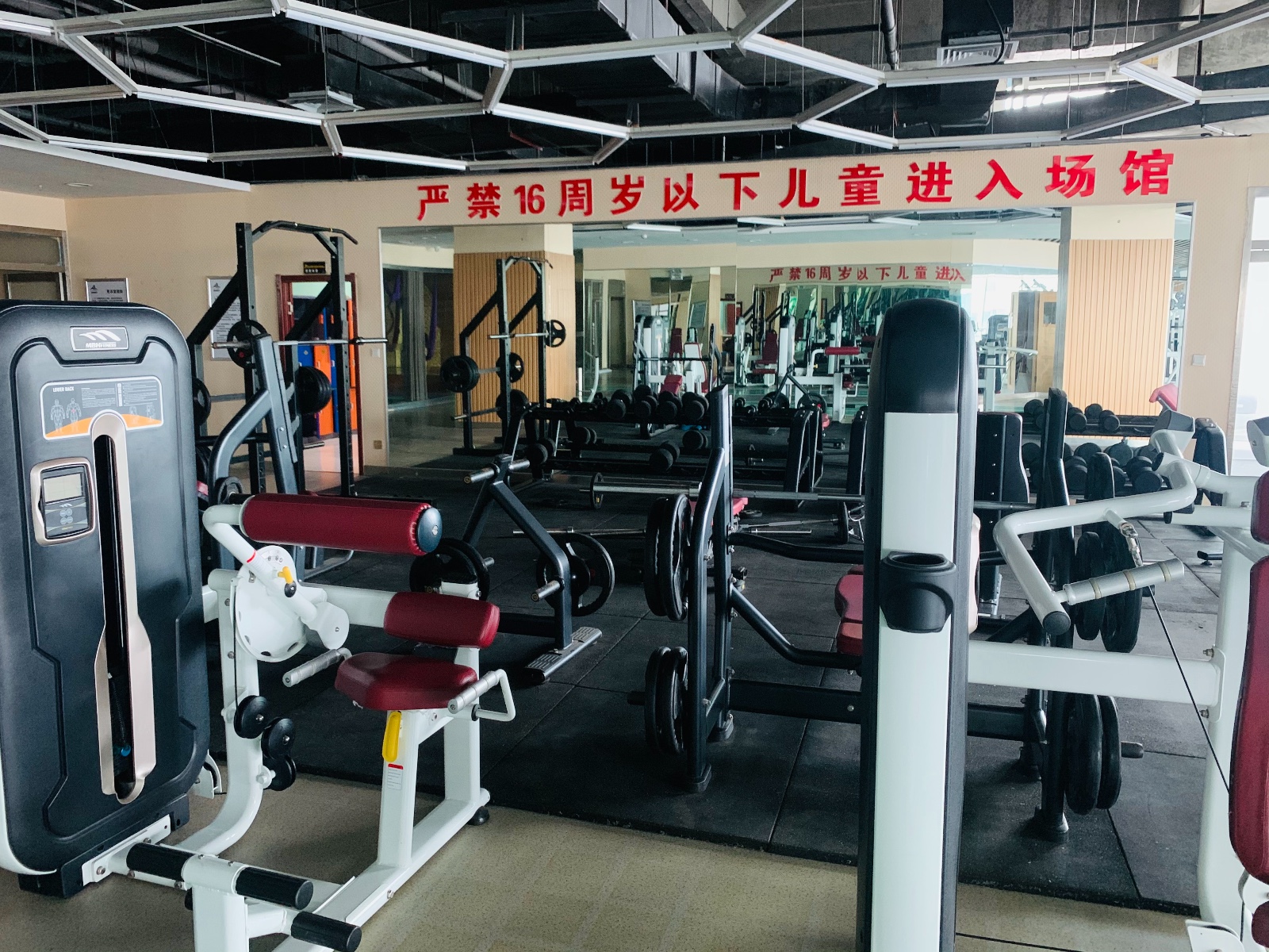 蓝鲸健身开业预售啦!