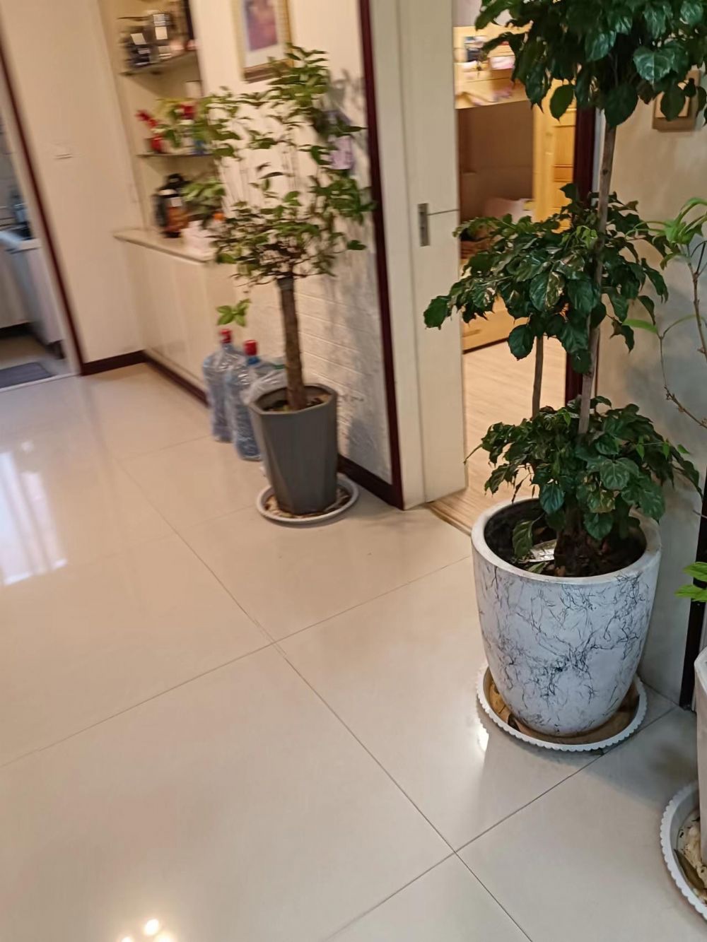 粮建东区好楼层 精装修