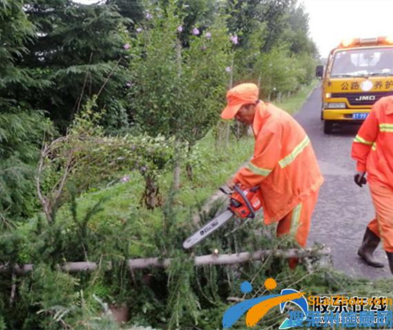 暴雨过后，莱州公路局积极化解险情_社会新闻_莱州频道