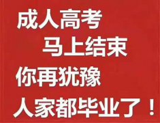 2019年莱州成人高考/函授/专升本报名咨询