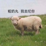 办公室文员