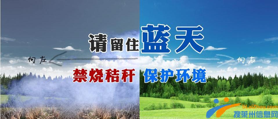 我市延长2019-2020年度森林防火期！