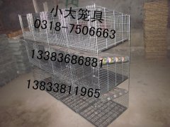 出售鸽子笼兔子笼鸡笼鸟笼狗笼宠物笼鹌鹑笼鹧鸪笼猫笼貉笼 铁丝